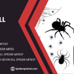 Does Sevin Kill Spider Mites?